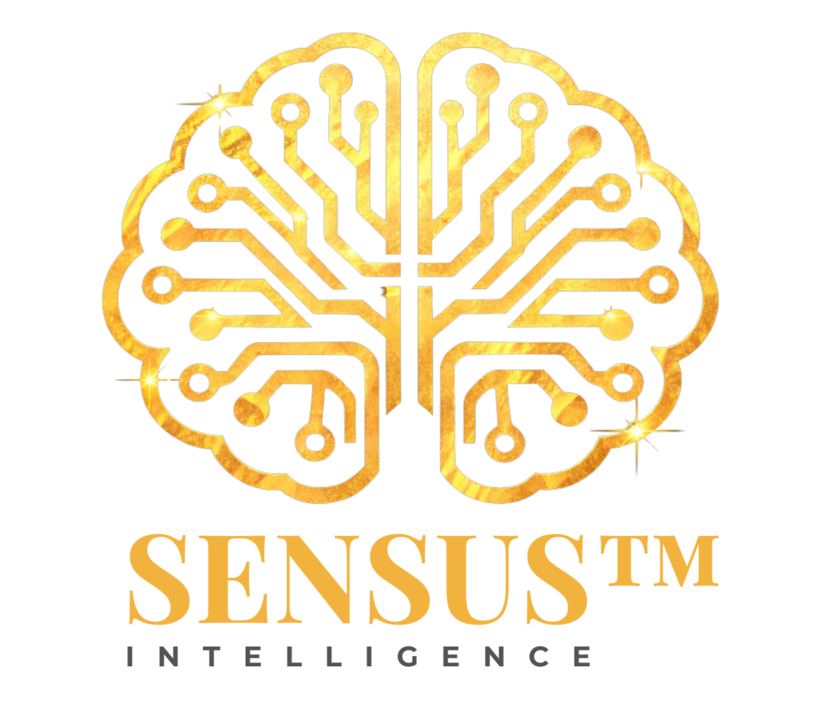 Sensus Intelligence Logo